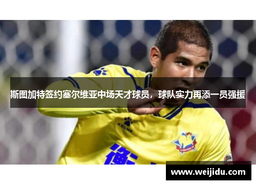 斯图加特签约塞尔维亚中场天才球员，球队实力再添一员强援
