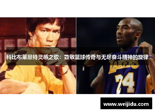 科比布莱恩特灵感之歌：致敬篮球传奇与无尽奋斗精神的旋律