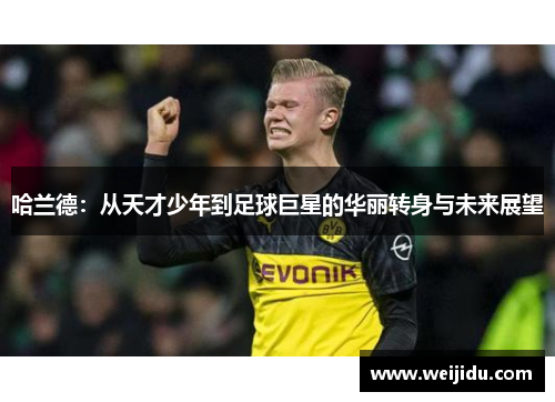 哈兰德：从天才少年到足球巨星的华丽转身与未来展望