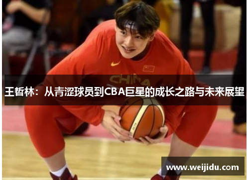 王哲林：从青涩球员到CBA巨星的成长之路与未来展望