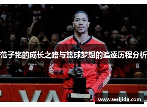 范子铭的成长之路与篮球梦想的追逐历程分析