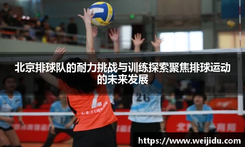 北京排球队的耐力挑战与训练探索聚焦排球运动的未来发展