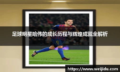 足球明星哈伟的成长历程与辉煌成就全解析